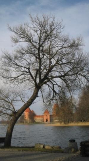 Hotel Ezerkiemis Trakai Exteriér fotografie