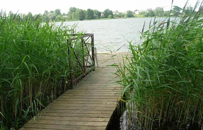 Hotel Ezerkiemis Trakai Exteriér fotografie